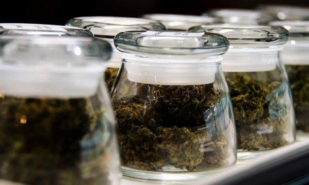 Rise of the Dispensaries: Medicinal Marijuana on the Island