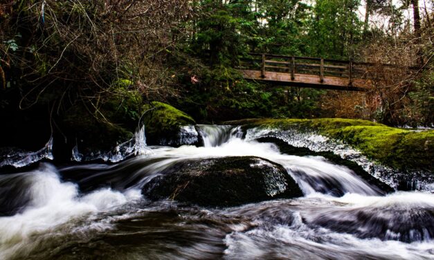 Local photographer uses Instagram scavenger hunt to show beauty of Vancouver Island