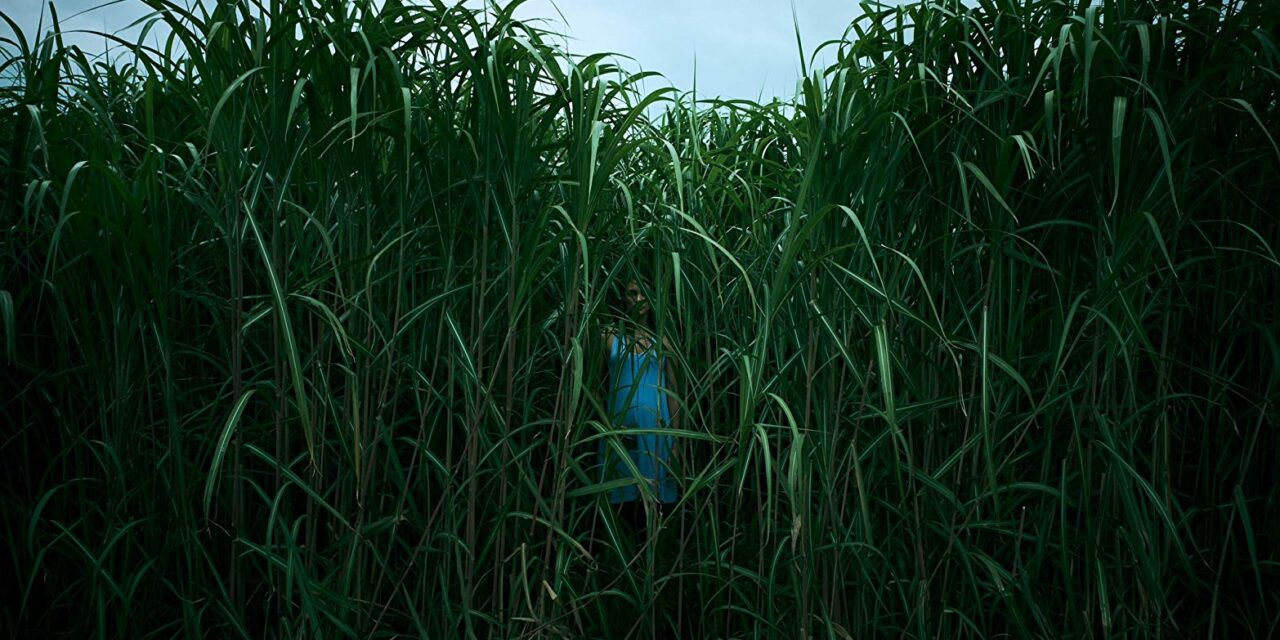 In the Tall Grass: A Movie Review